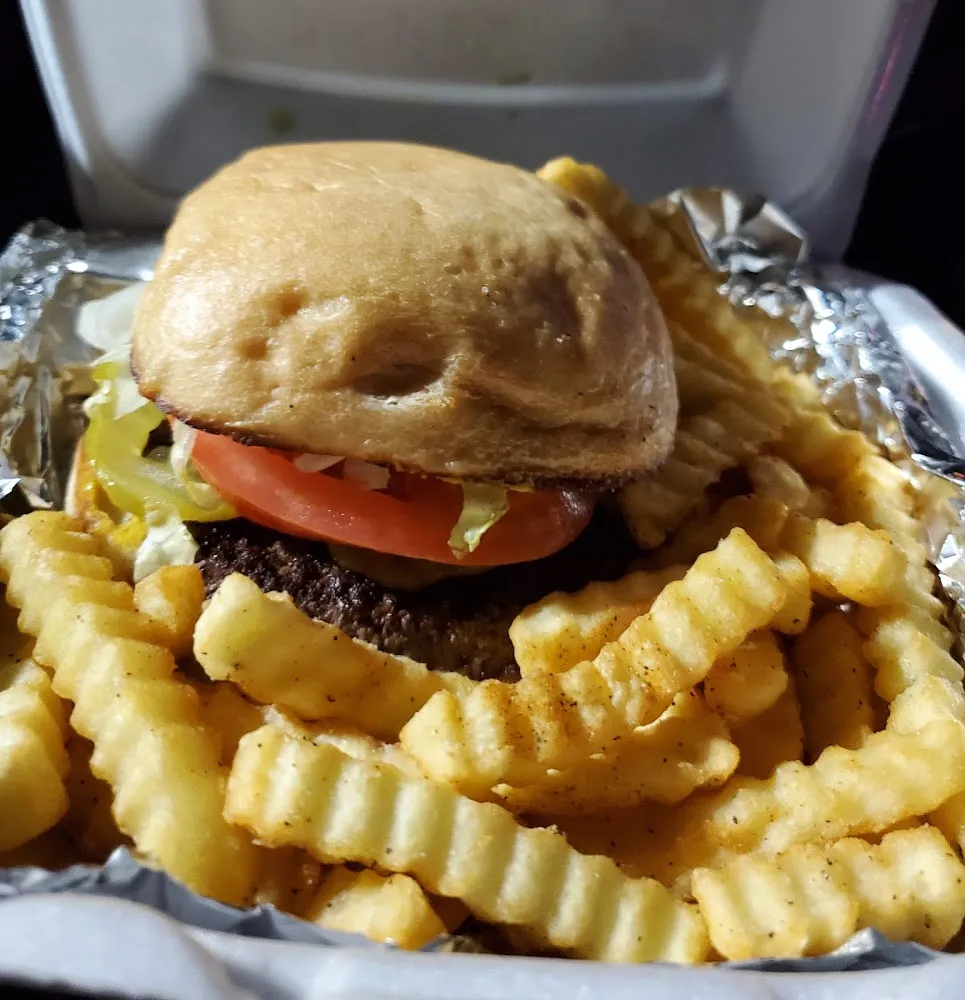 Hamburger and Fries